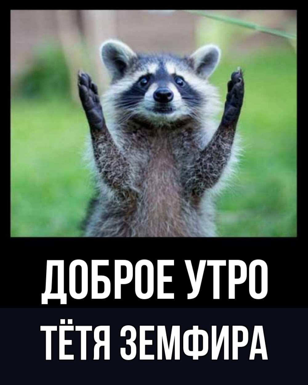 Открытка на каждый день с именем, Тётя-Земфира Доброе утро хорошее настроение утречком Прикольная открытка с пожеланием онлайн скачать бесплатно 