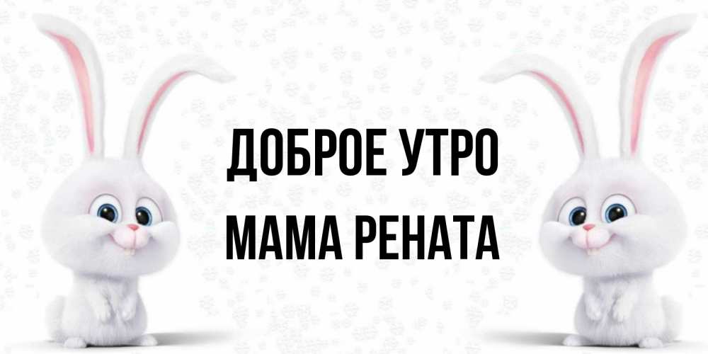 Открытка на каждый день с именем, Мама-Рената Доброе утро кролики с длинными ушками Прикольная открытка с пожеланием онлайн скачать бесплатно 