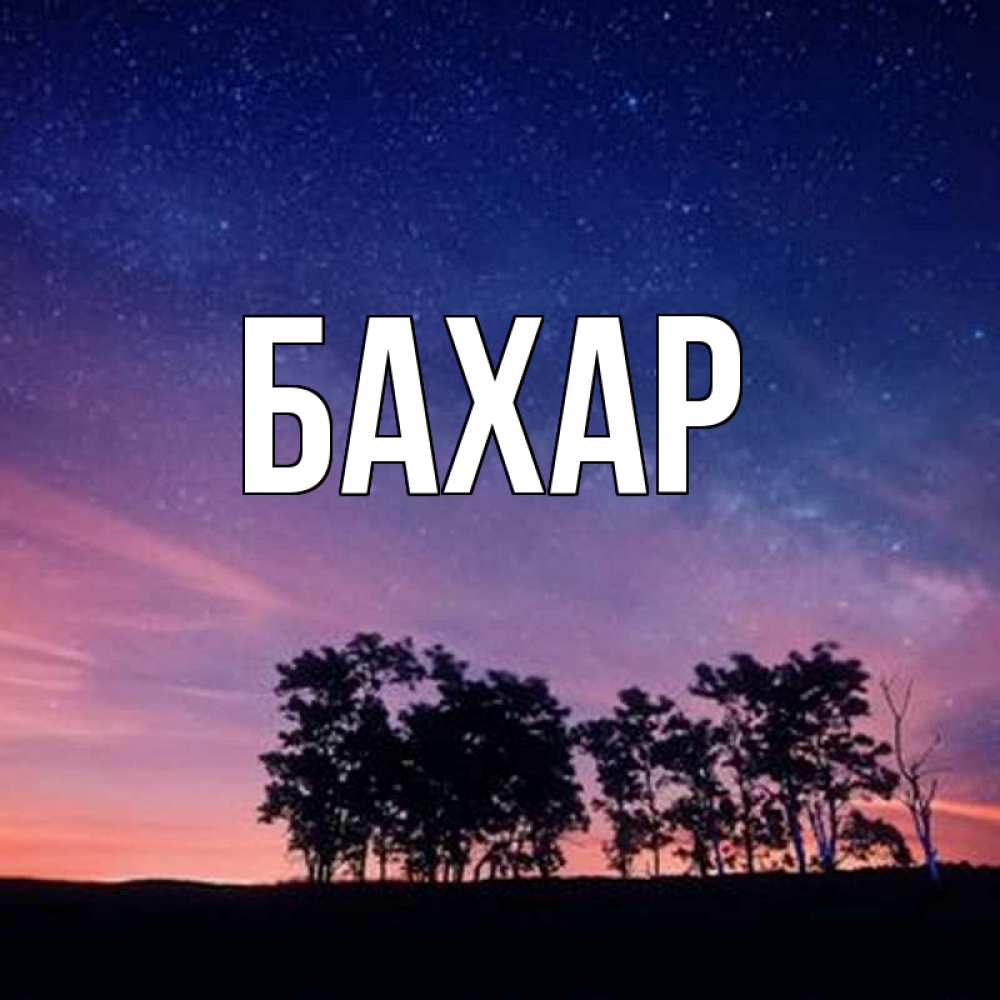 Открытка на каждый день с именем, Бахар Главная силуэты деревьев Прикольная открытка с пожеланием онлайн скачать бесплатно 