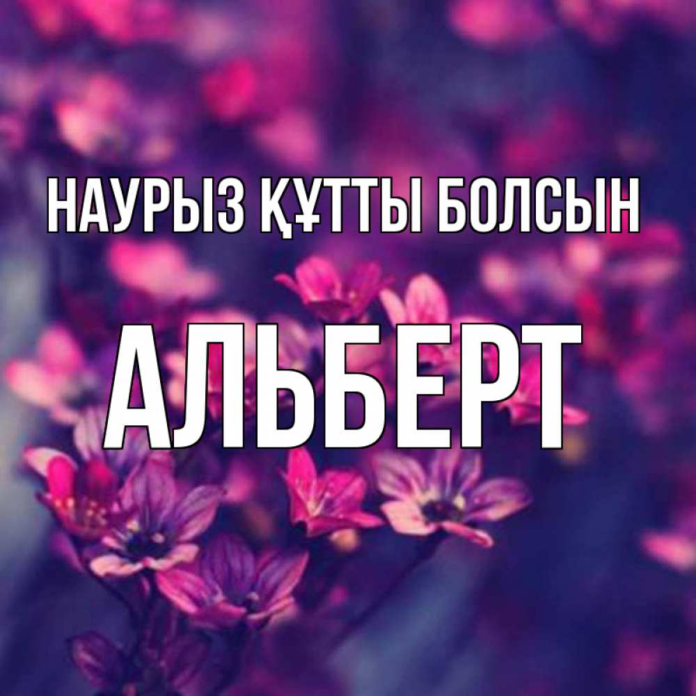 Открытка на каждый день с именем, Альберт Наурыз құтты болсын небольшие цветы 1 Прикольная открытка с пожеланием онлайн скачать бесплатно 