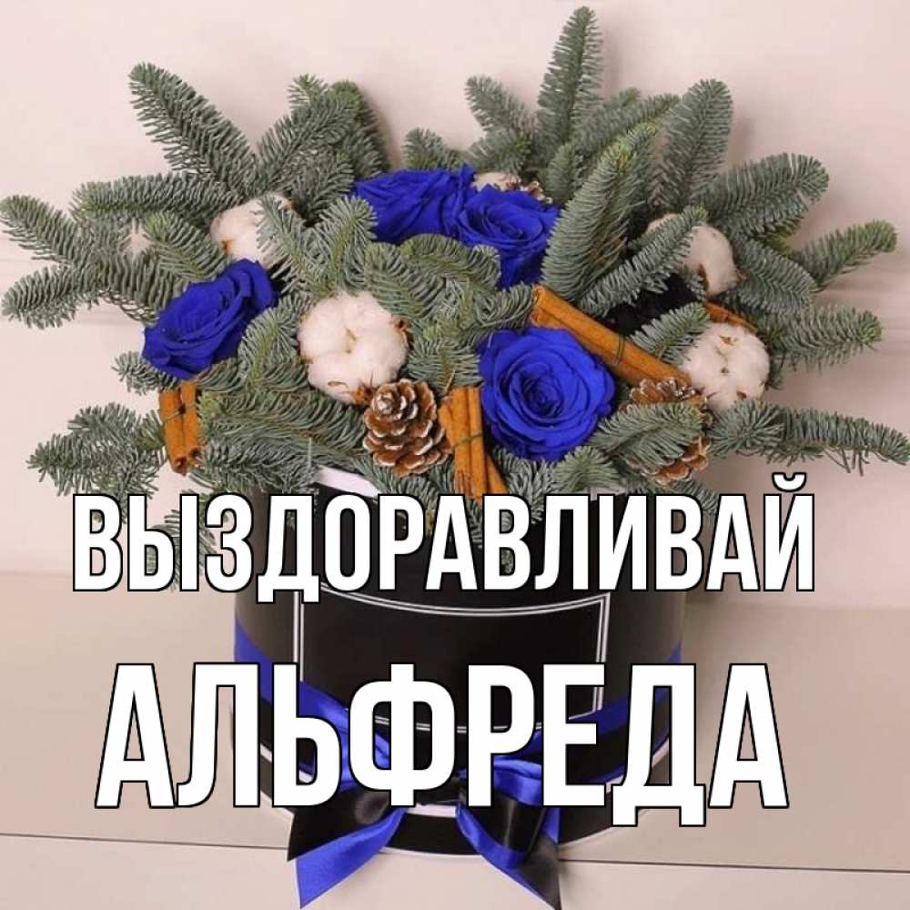 Открытка на каждый день с именем, Альфреда Выздоравливай короче кто то загрузил эти шишки Прикольная открытка с пожеланием онлайн скачать бесплатно 