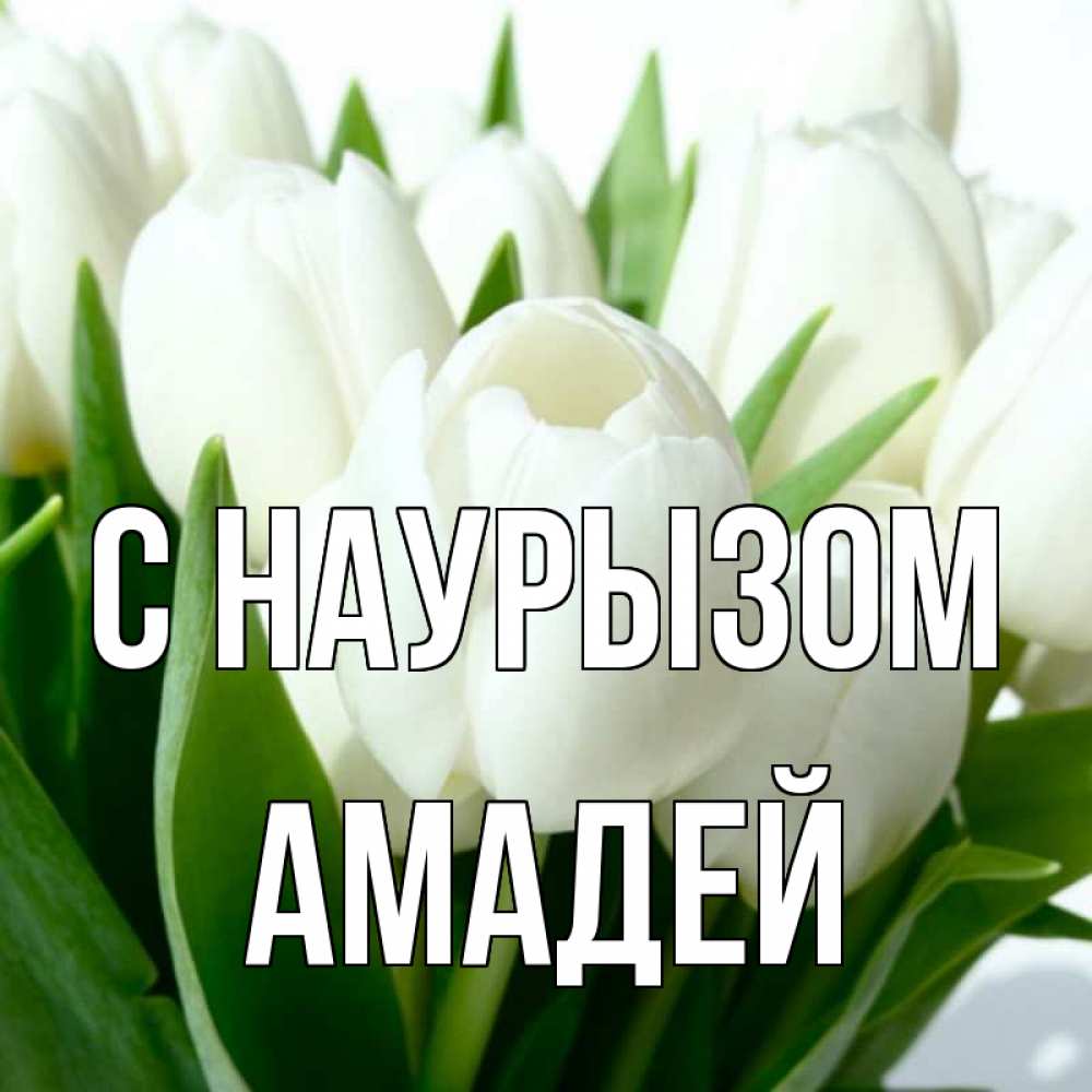 Открытка на каждый день с именем, Амадей С наурызом цветы Прикольная открытка с пожеланием онлайн скачать бесплатно 