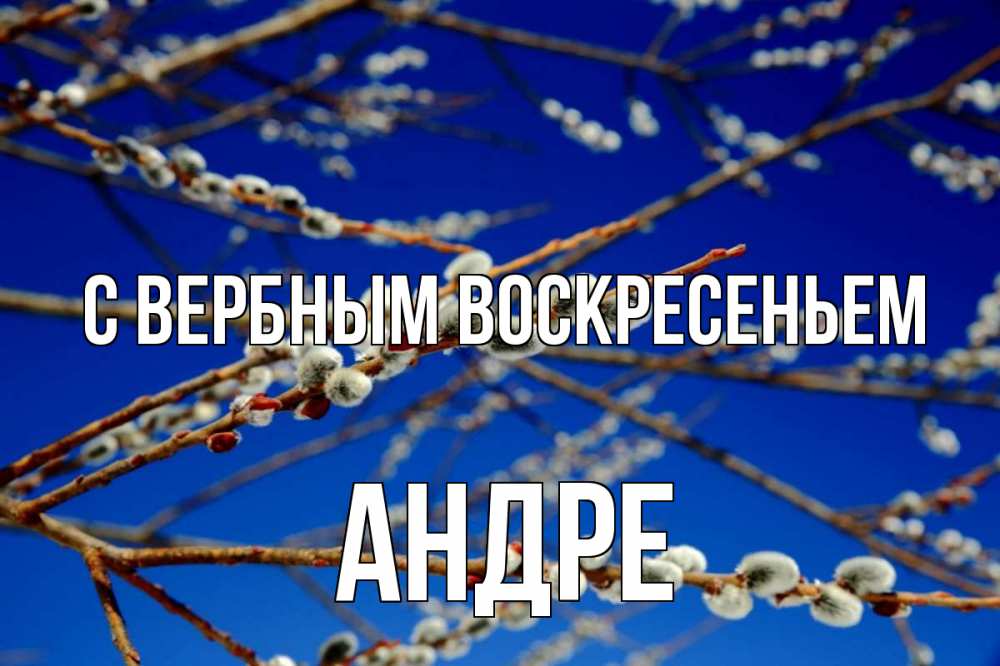 Открытка на каждый день с именем, Андре С вербным воскресеньем верба Прикольная открытка с пожеланием онлайн скачать бесплатно 