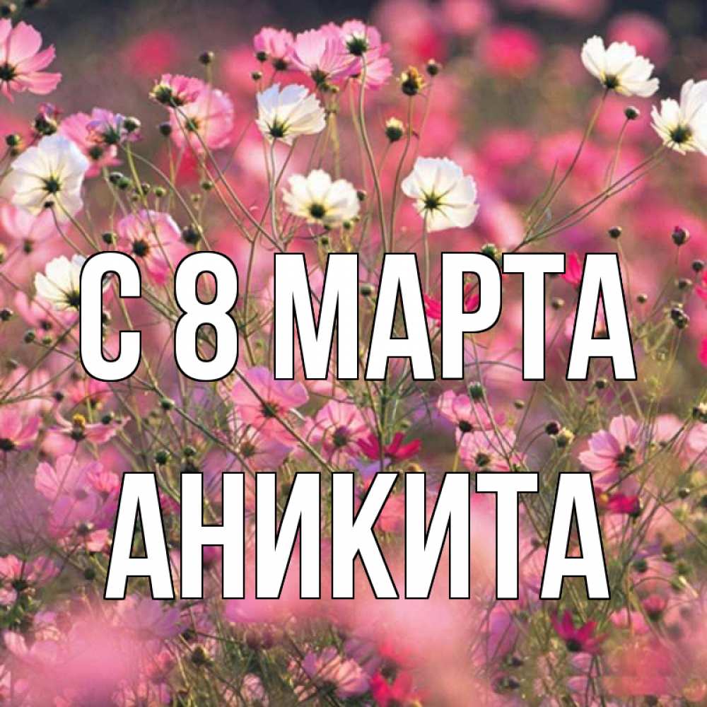 Открытка на каждый день с именем, Аникита С 8 марта красиво 1 Прикольная открытка с пожеланием онлайн скачать бесплатно 