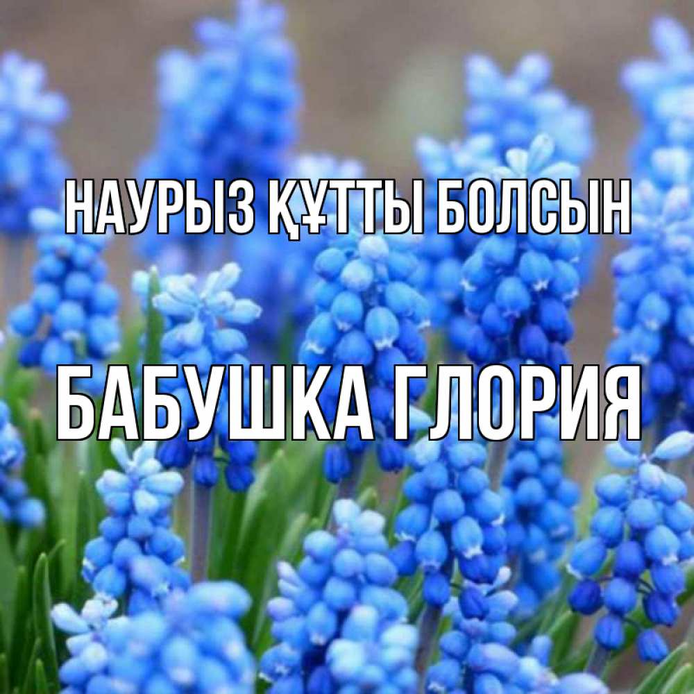 Открытка на каждый день с именем, Бабушка-Глория Наурыз құтты болсын Поздравительная открытка для женщин с цветами на праздничную дату Прикольная открытка с пожеланием онлайн скачать бесплатно 