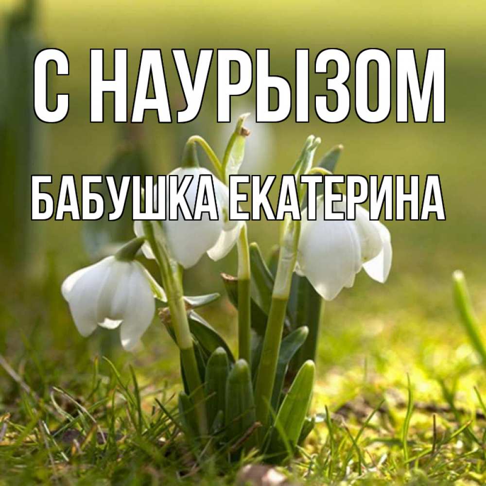 Открытка на каждый день с именем, Бабушка-Екатерина С наурызом ранние цветы 2 Прикольная открытка с пожеланием онлайн скачать бесплатно 