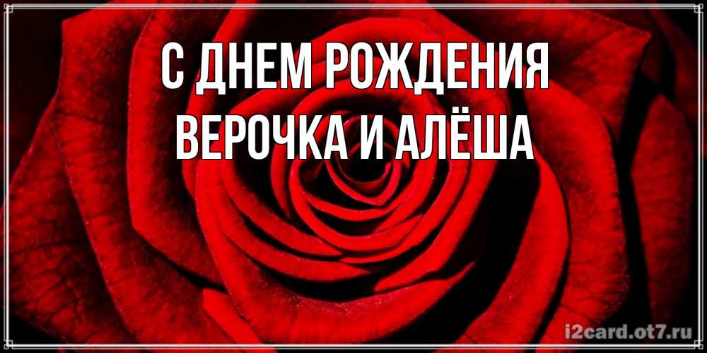 Открытка на каждый день с именем, Верочка-и-Алёша С днем рождения алая роза Прикольная открытка с пожеланием онлайн скачать бесплатно 