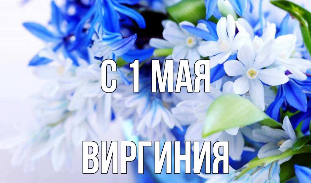 Открытка на каждый день с именем, Виргиния С 1 мая С 1 мая Прикольная открытка с пожеланием онлайн скачать бесплатно 