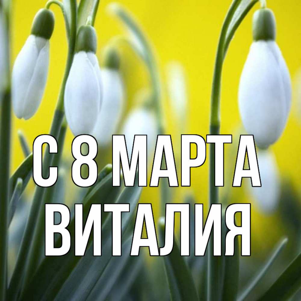 Открытка на каждый день с именем, Виталия С 8 МАРТА весенние цветы Прикольная открытка с пожеланием онлайн скачать бесплатно 