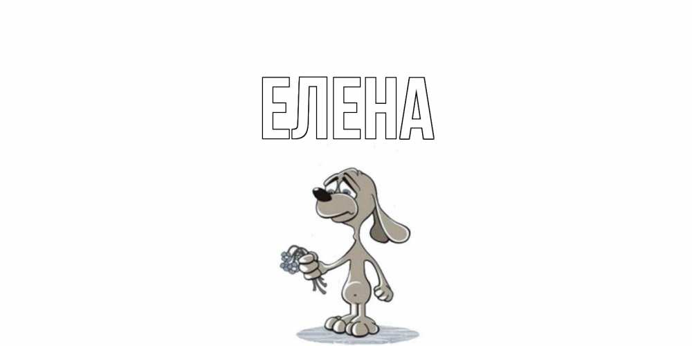 Открытка на каждый день с именем, Елена Главная открытка прости меня серый пес Прикольная открытка с пожеланием онлайн скачать бесплатно 