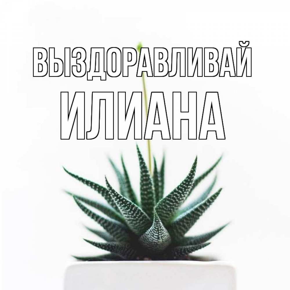 Открытка на каждый день с именем, Илиана Выздоравливай короче это непонятная колючка Прикольная открытка с пожеланием онлайн скачать бесплатно 