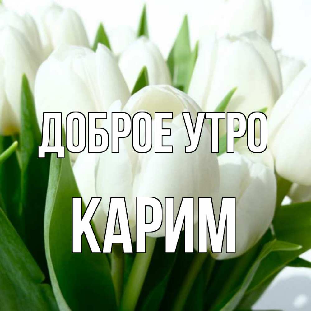 Открытка на каждый день с именем, Карим Доброе утро открытки на каждый день по именам Прикольная открытка с пожеланием онлайн скачать бесплатно 