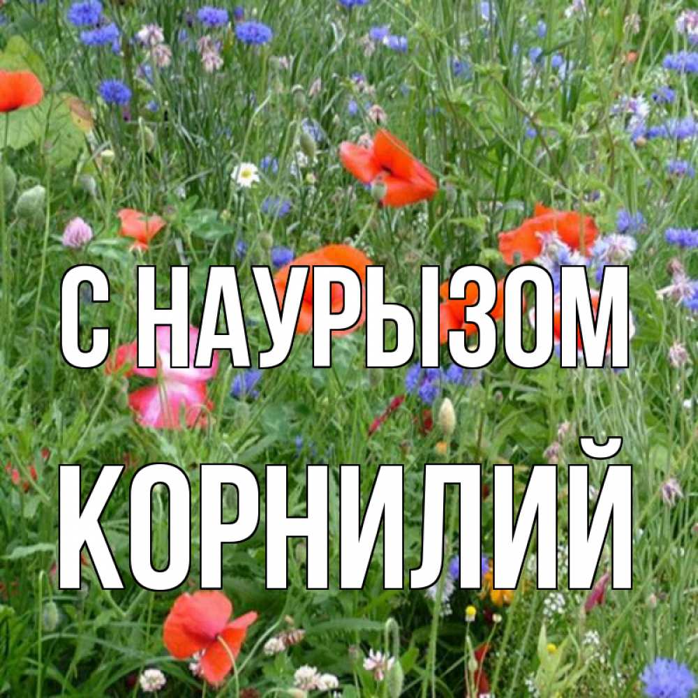 Открытка на каждый день с именем, Корнилий С наурызом праздник весны наурыз супер открытка Прикольная открытка с пожеланием онлайн скачать бесплатно 