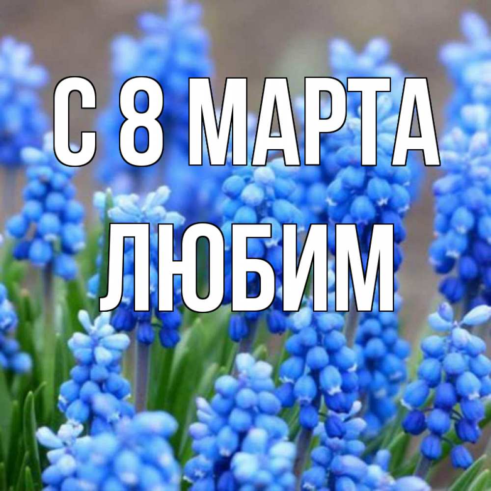 Открытка на каждый день с именем, Любим С 8 МАРТА Поздравительная открытка для женщин с цветами на праздничную дату Прикольная открытка с пожеланием онлайн скачать бесплатно 