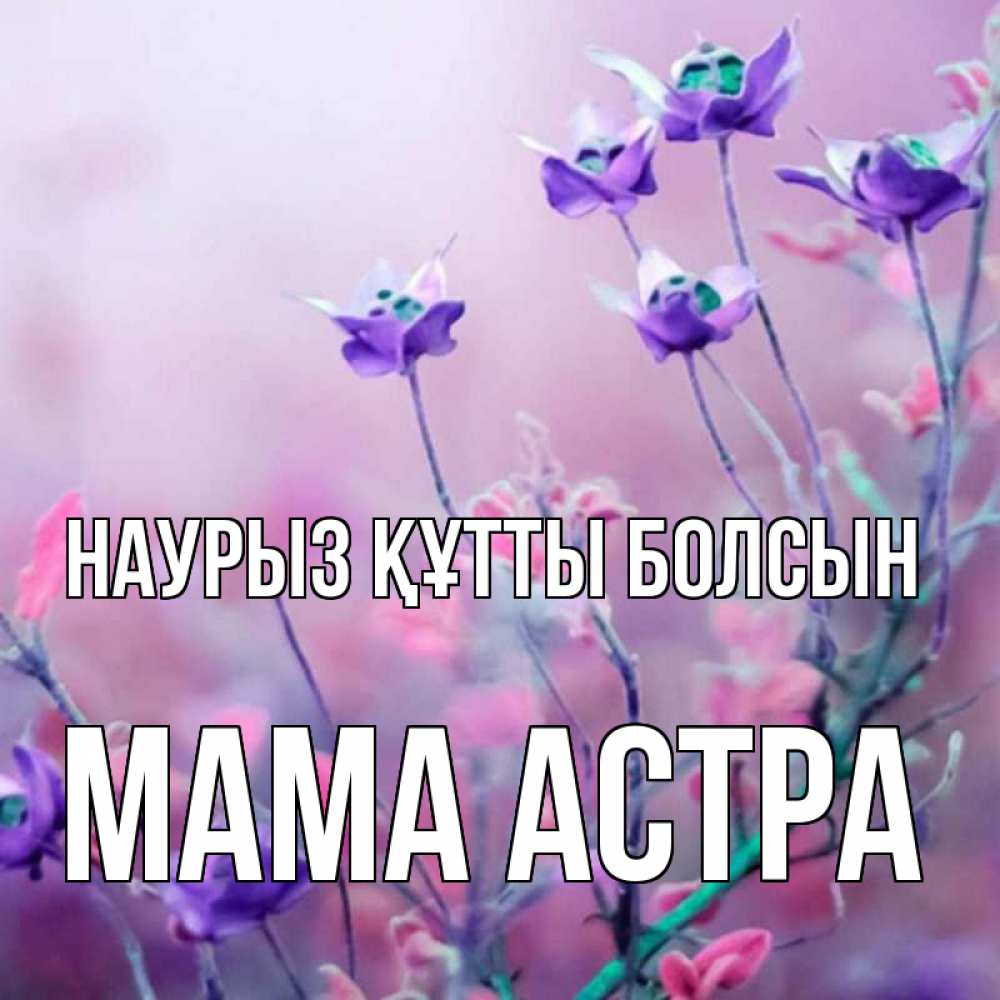 Открытка на каждый день с именем, Мама-Астра Наурыз құтты болсын наурыз  2 Прикольная открытка с пожеланием онлайн скачать бесплатно 