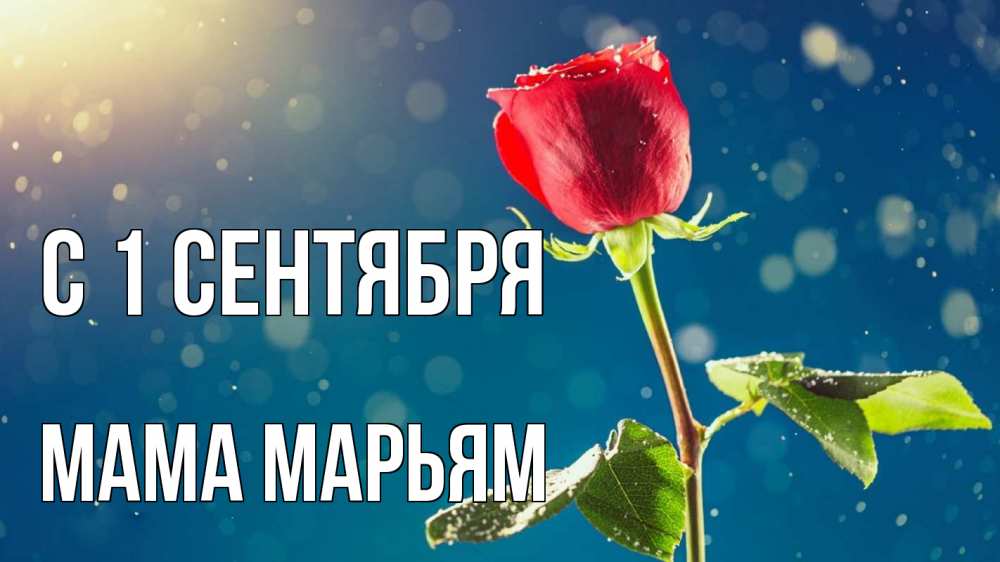 Открытка на каждый день с именем, Мама-Марьям С 1 сентября с днем знаний Прикольная открытка с пожеланием онлайн скачать бесплатно 