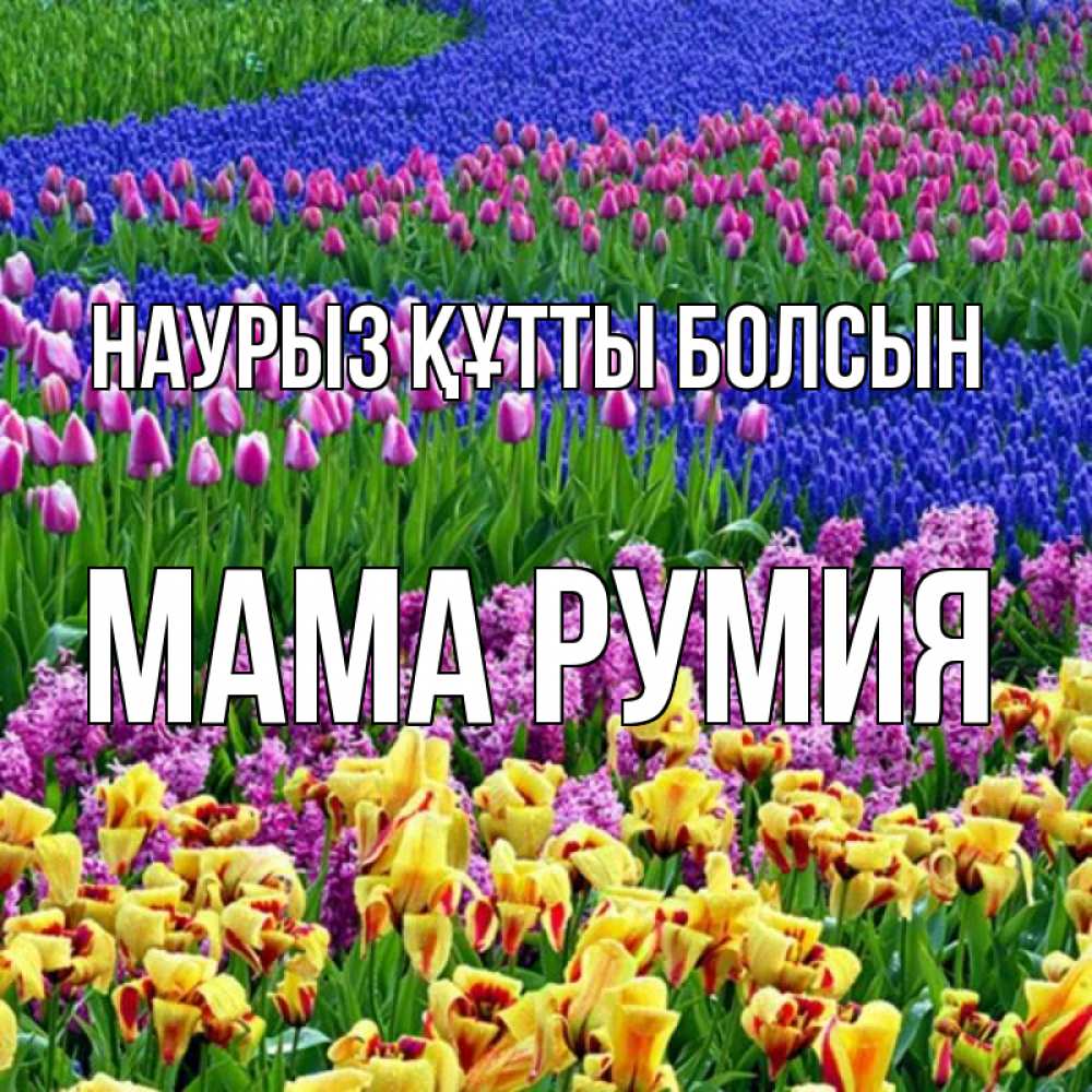 Открытка на каждый день с именем, Мама-Румия Наурыз құтты болсын цветы Прикольная открытка с пожеланием онлайн скачать бесплатно 