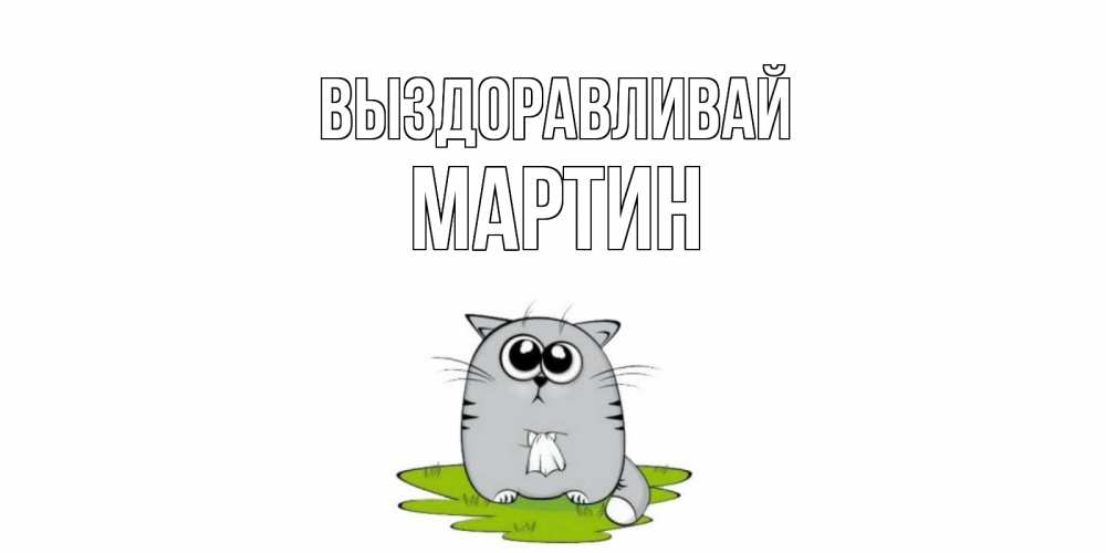 Открытка на каждый день с именем, Мартин Выздоравливай кот и открытки про выздоровление Прикольная открытка с пожеланием онлайн скачать бесплатно 