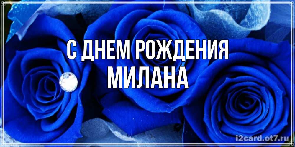 Открытка на каждый день с именем, Милана С днем рождения синие розы в росе Прикольная открытка с пожеланием онлайн скачать бесплатно 