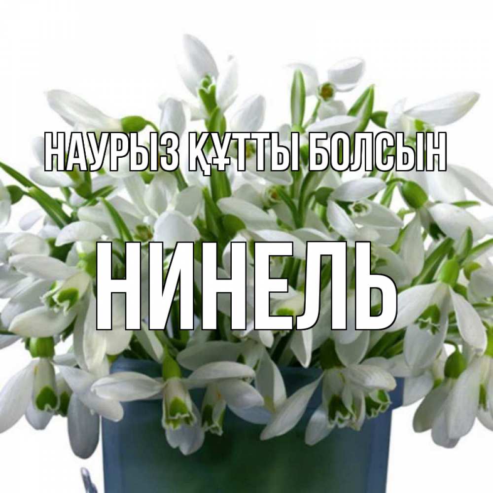 Открытка на каждый день с именем, Нинель Наурыз құтты болсын цветы к наурызу Прикольная открытка с пожеланием онлайн скачать бесплатно 