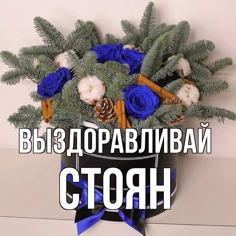 Открытка на каждый день с именем, Стоян Выздоравливай короче кто то загрузил эти шишки Прикольная открытка с пожеланием онлайн скачать бесплатно 