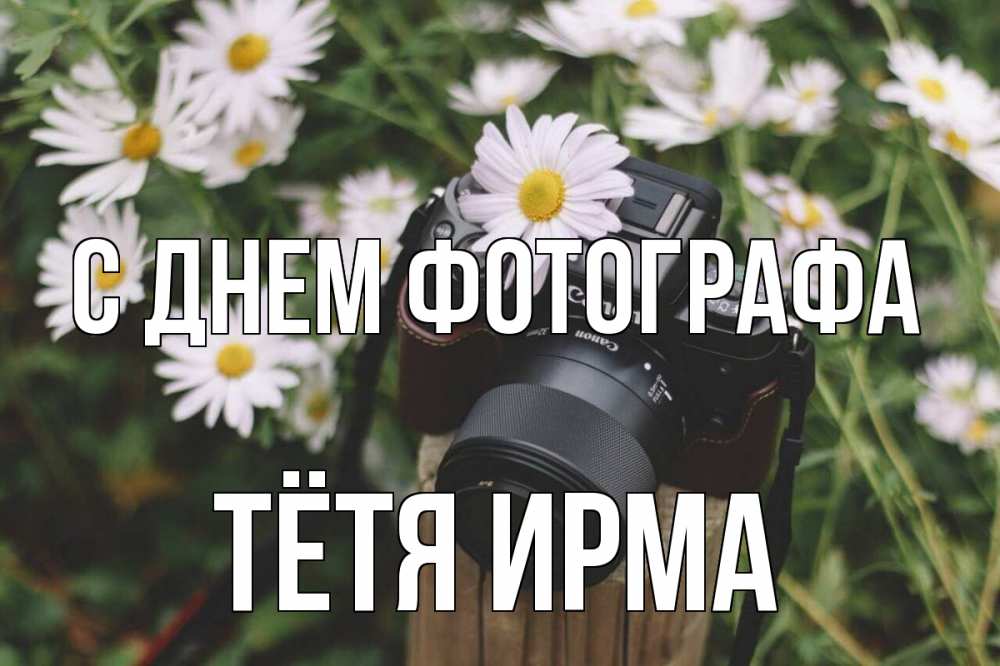 Открытка на каждый день с именем, Тётя-Ирма С днем фотографа с днем фотографа Прикольная открытка с пожеланием онлайн скачать бесплатно 