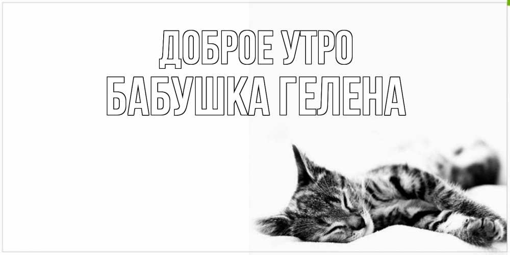 Открытка на каждый день с именем, Бабушка-Гелена Доброе утро котуся Прикольная открытка с пожеланием онлайн скачать бесплатно 