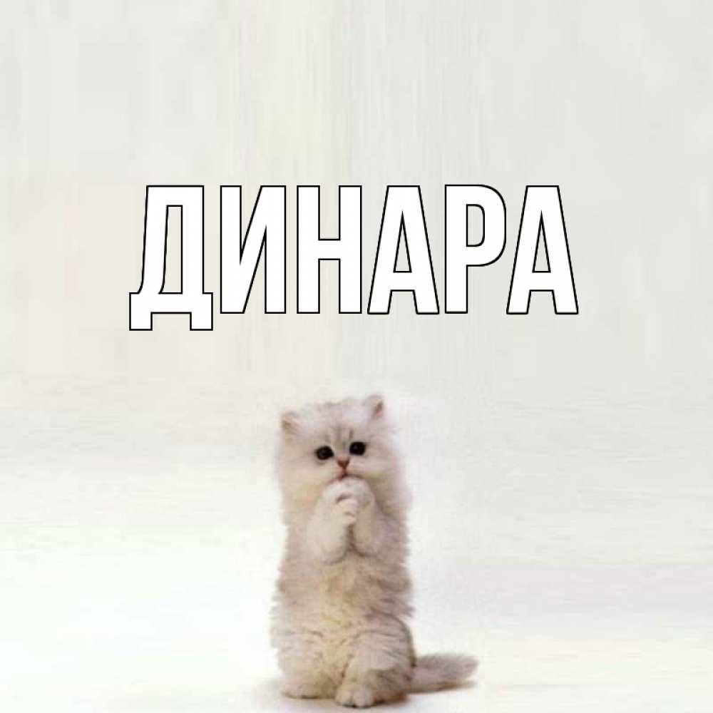 Открытка на каждый день с именем, Динара Главная открытки с креативными подписями Прикольная открытка с пожеланием онлайн скачать бесплатно 