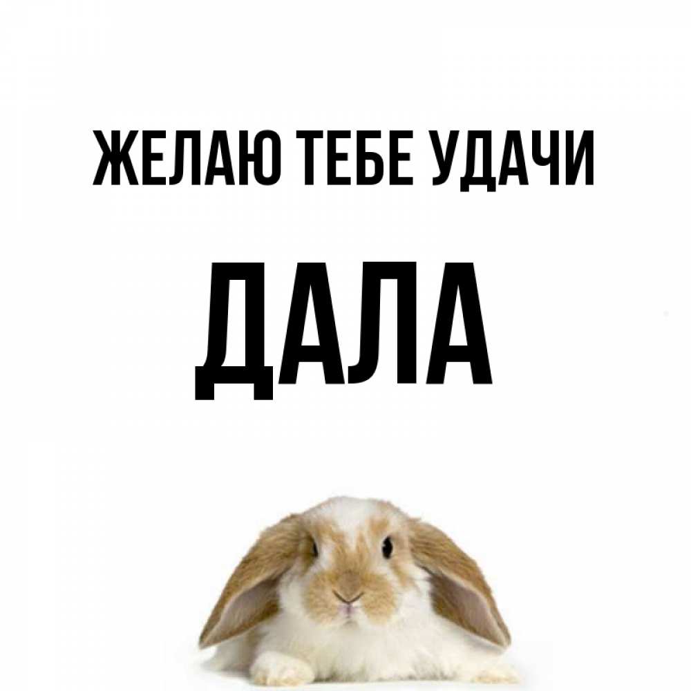 Давай удачи