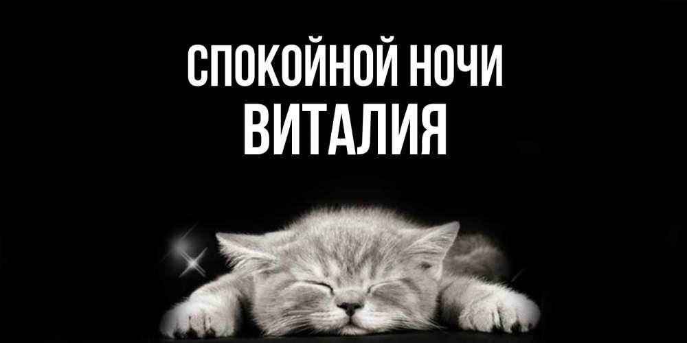 Открытка на каждый день с именем, Виталия Спокойной ночи спящий котик Прикольная открытка с пожеланием онлайн скачать бесплатно 