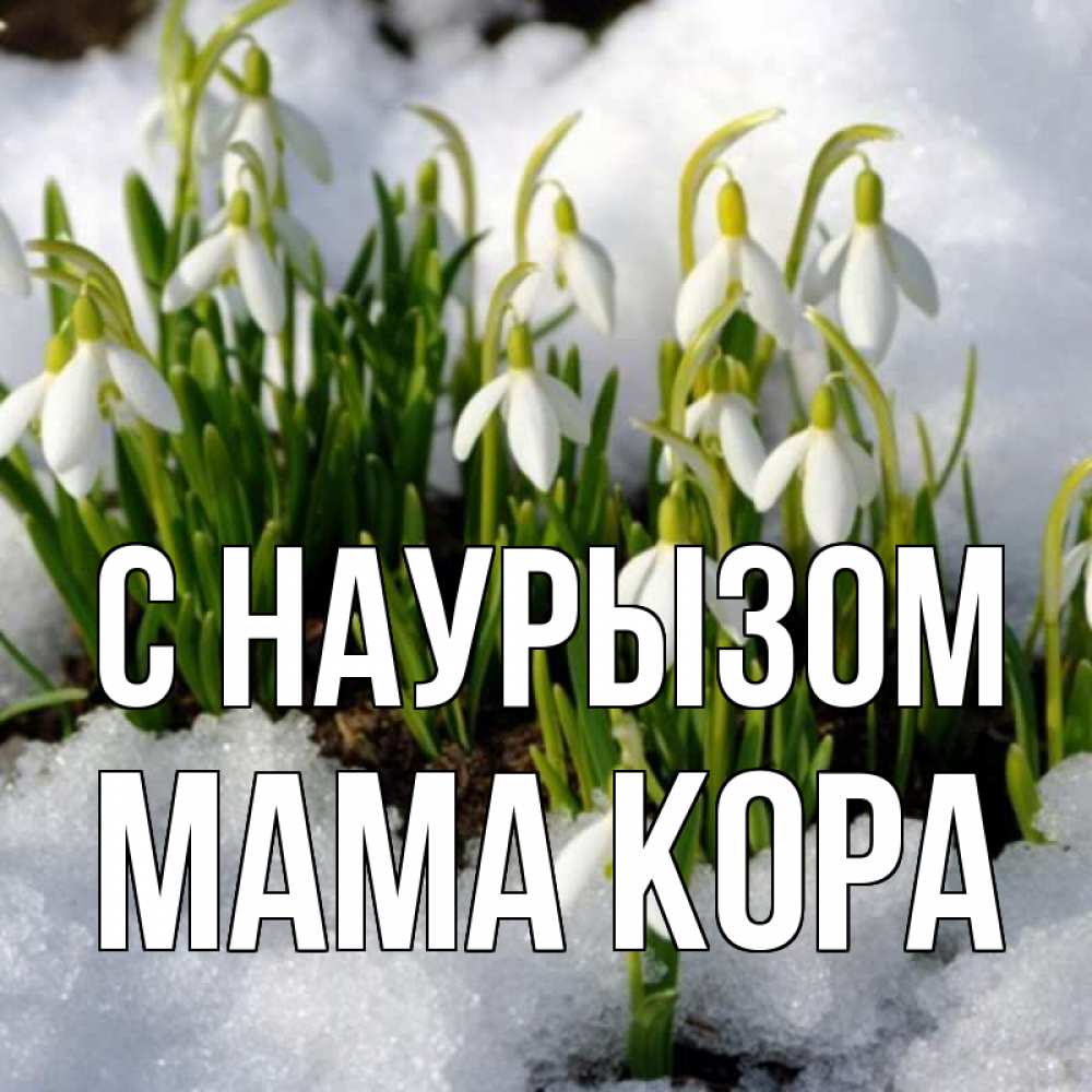 Открытка на каждый день с именем, Мама-Кора С наурызом цветы весенние Прикольная открытка с пожеланием онлайн скачать бесплатно 