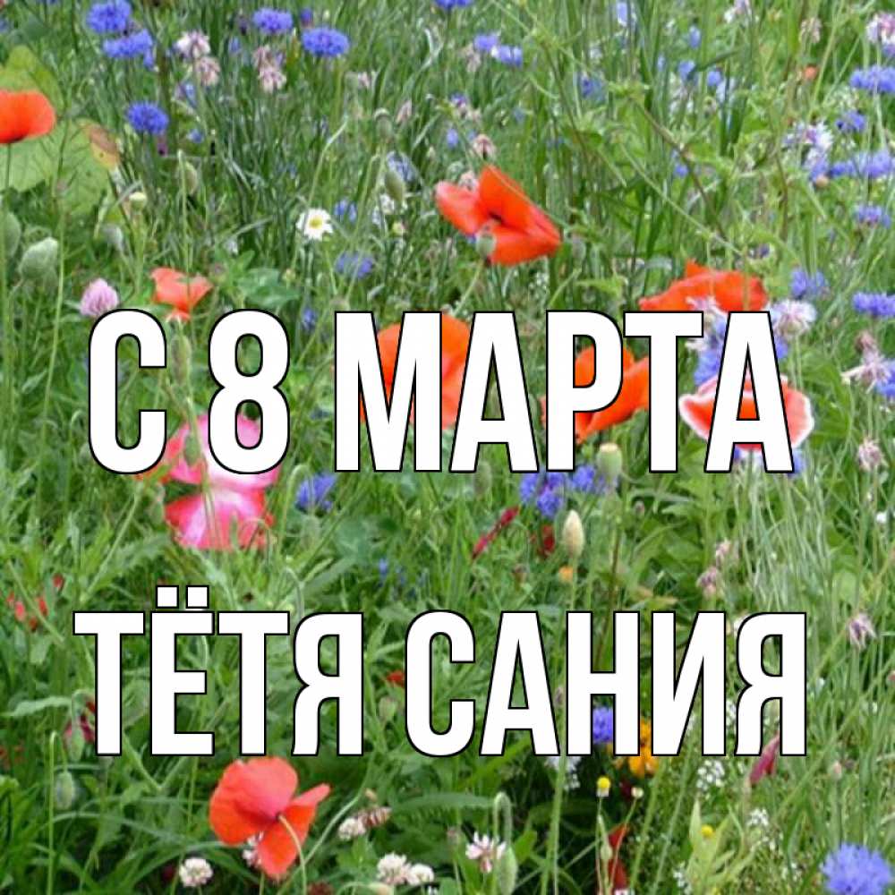 Открытка на каждый день с именем, Тётя-Сания С 8 марта международный женский день 4 Прикольная открытка с пожеланием онлайн скачать бесплатно 
