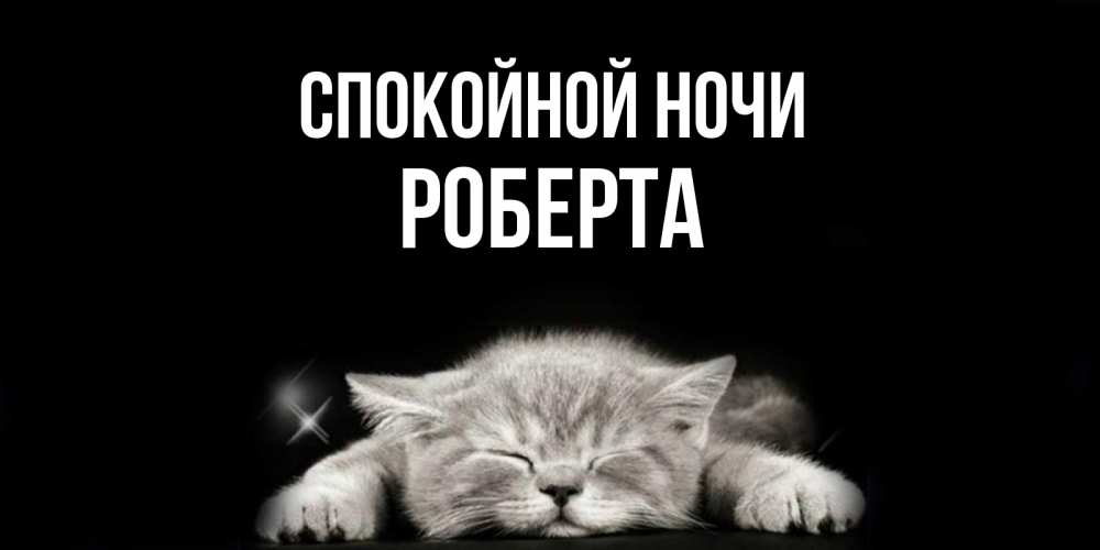 Открытка на каждый день с именем, Роберта Спокойной ночи спящий котик Прикольная открытка с пожеланием онлайн скачать бесплатно 