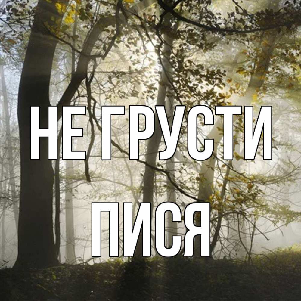 Открытка на каждый день с именем, пися Не грусти лес и свет Прикольная открытка с пожеланием онлайн скачать бесплатно 