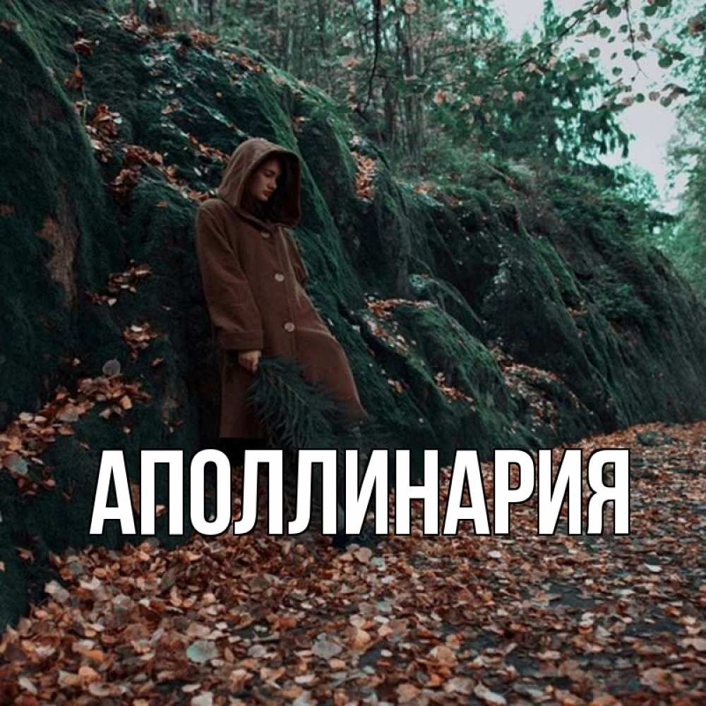 Открытка на каждый день с именем, Аполлинария Главная осенний лес Прикольная открытка с пожеланием онлайн скачать бесплатно 