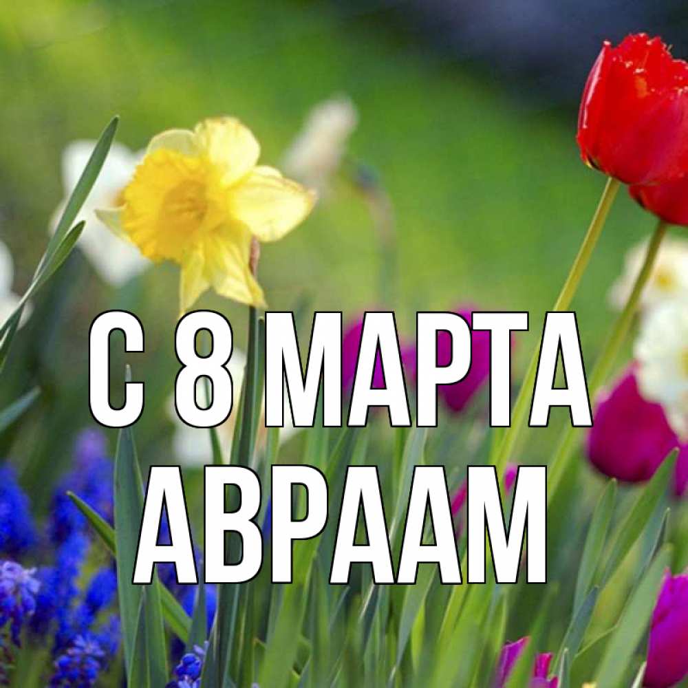 Открытка на каждый день с именем, Авраам С 8 МАРТА международный женский день 3 Прикольная открытка с пожеланием онлайн скачать бесплатно 