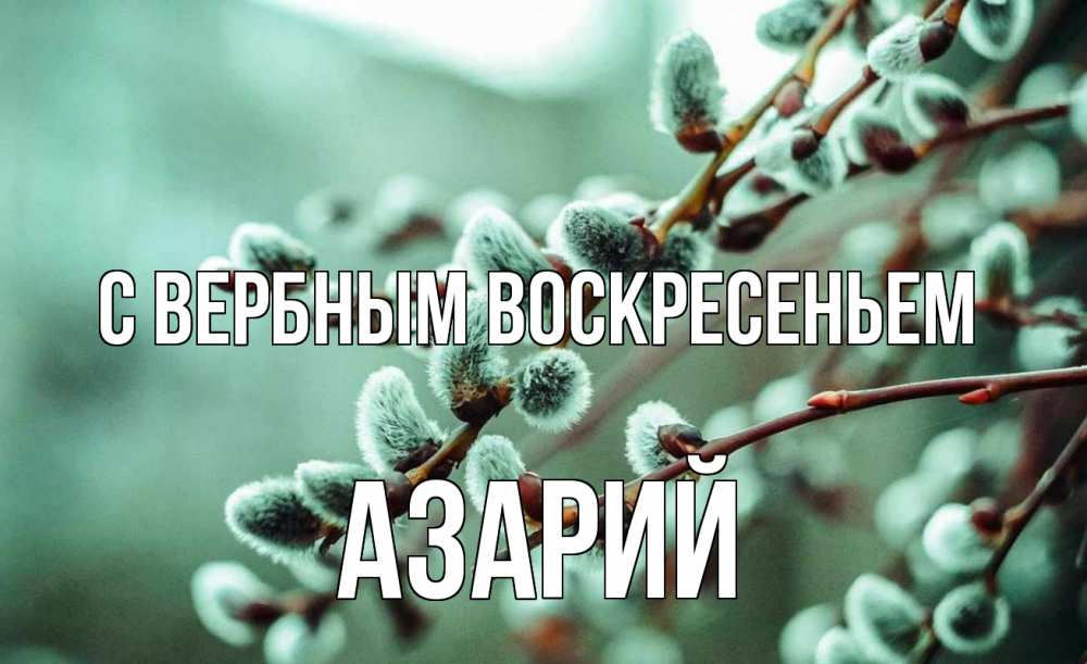 Открытка на каждый день с именем, Азарий С вербным воскресеньем верба Прикольная открытка с пожеланием онлайн скачать бесплатно 