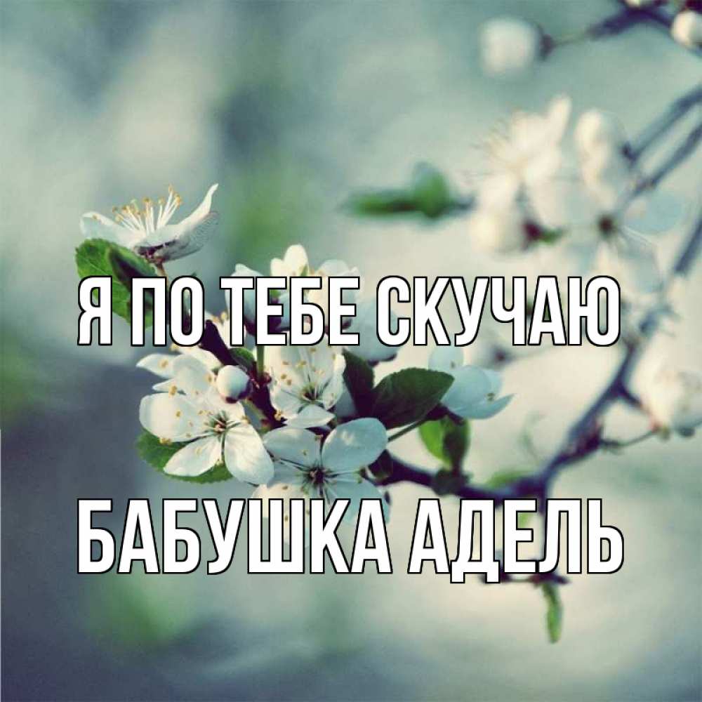 Открытка на каждый день с именем, Бабушка-Адель Я по тебе скучаю весна Прикольная открытка с пожеланием онлайн скачать бесплатно 
