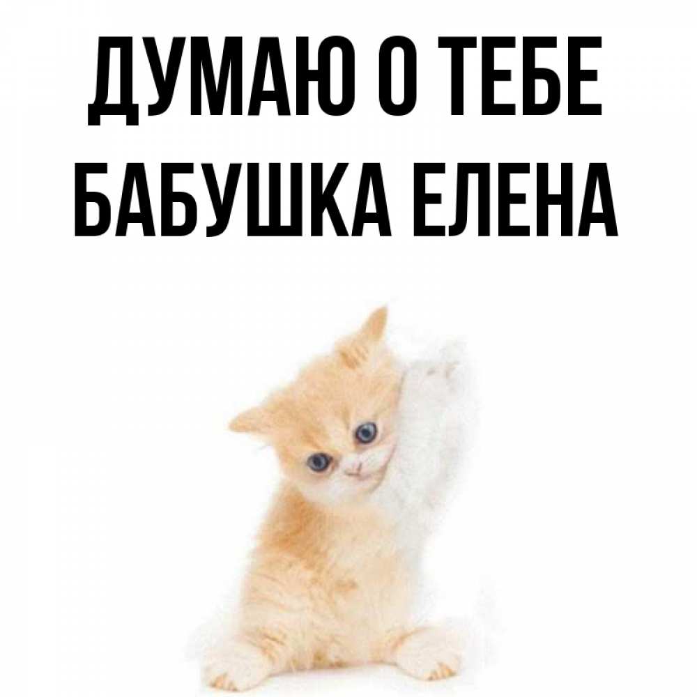 Открытка на каждый день с именем, Бабушка-Елена Думаю о тебе зверушки и милота Прикольная открытка с пожеланием онлайн скачать бесплатно 
