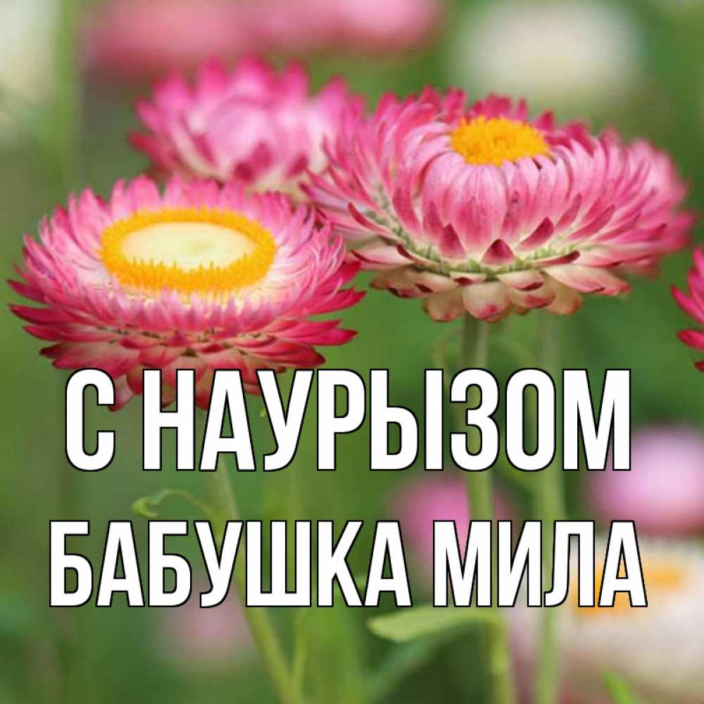 Открытка на каждый день с именем, Бабушка-Мила С наурызом подарок на международный женский день Прикольная открытка с пожеланием онлайн скачать бесплатно 