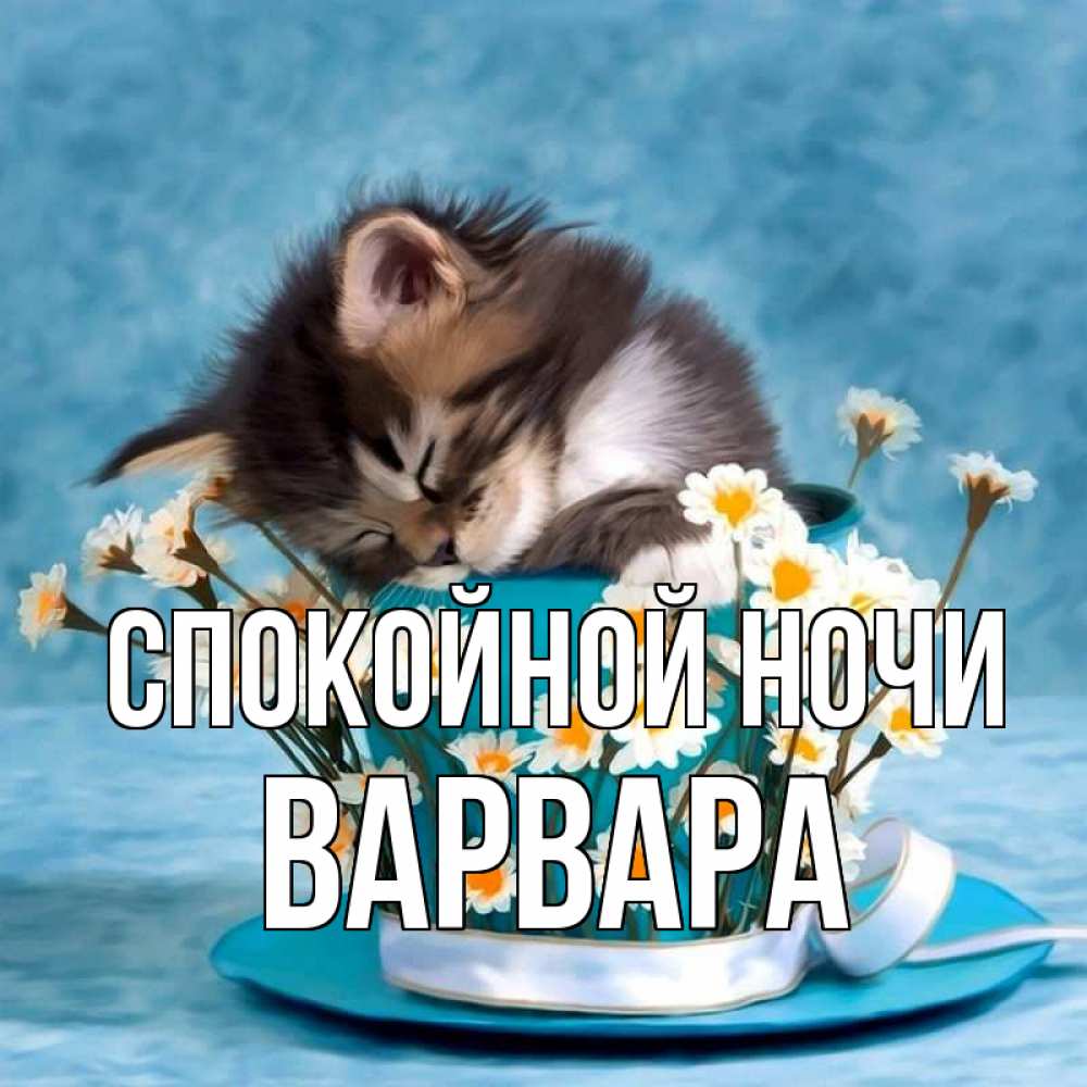 Открытка на каждый день с именем, Варвара Спокойной ночи котенок спит в кружке с блюдцем Прикольная открытка с пожеланием онлайн скачать бесплатно 