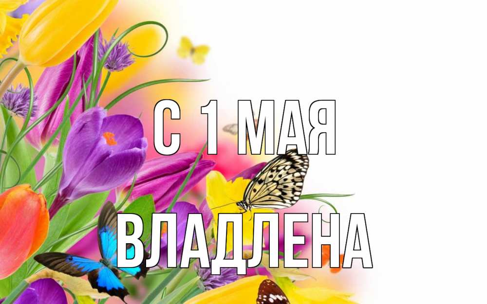 Открытка на каждый день с именем, Владлена С 1 мая С 1 мая Прикольная открытка с пожеланием онлайн скачать бесплатно 