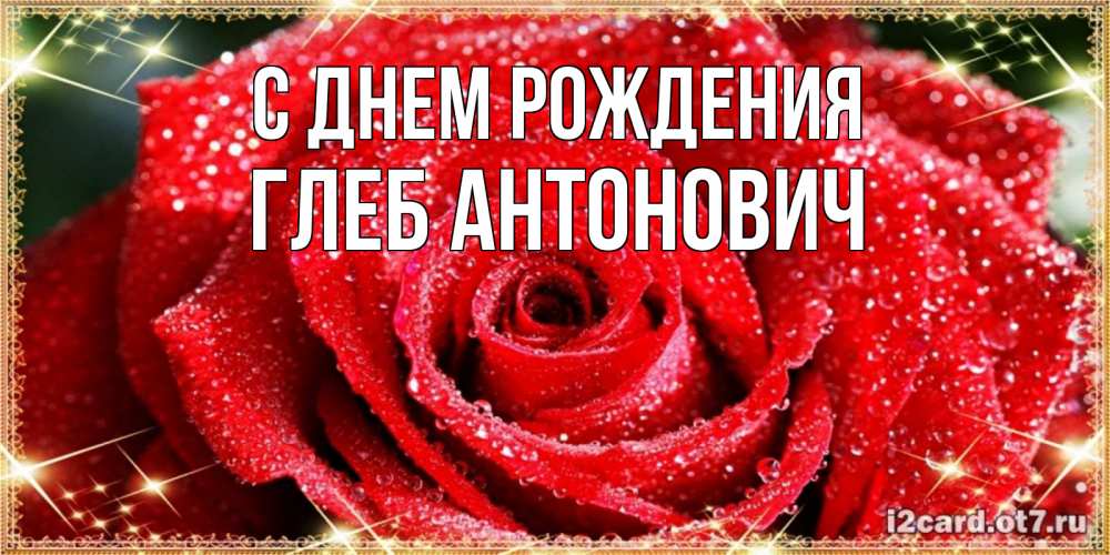 Открытка на каждый день с именем, Глеб-Антонович С днем рождения роса и роза. открытка с красивой розой Прикольная открытка с пожеланием онлайн скачать бесплатно 