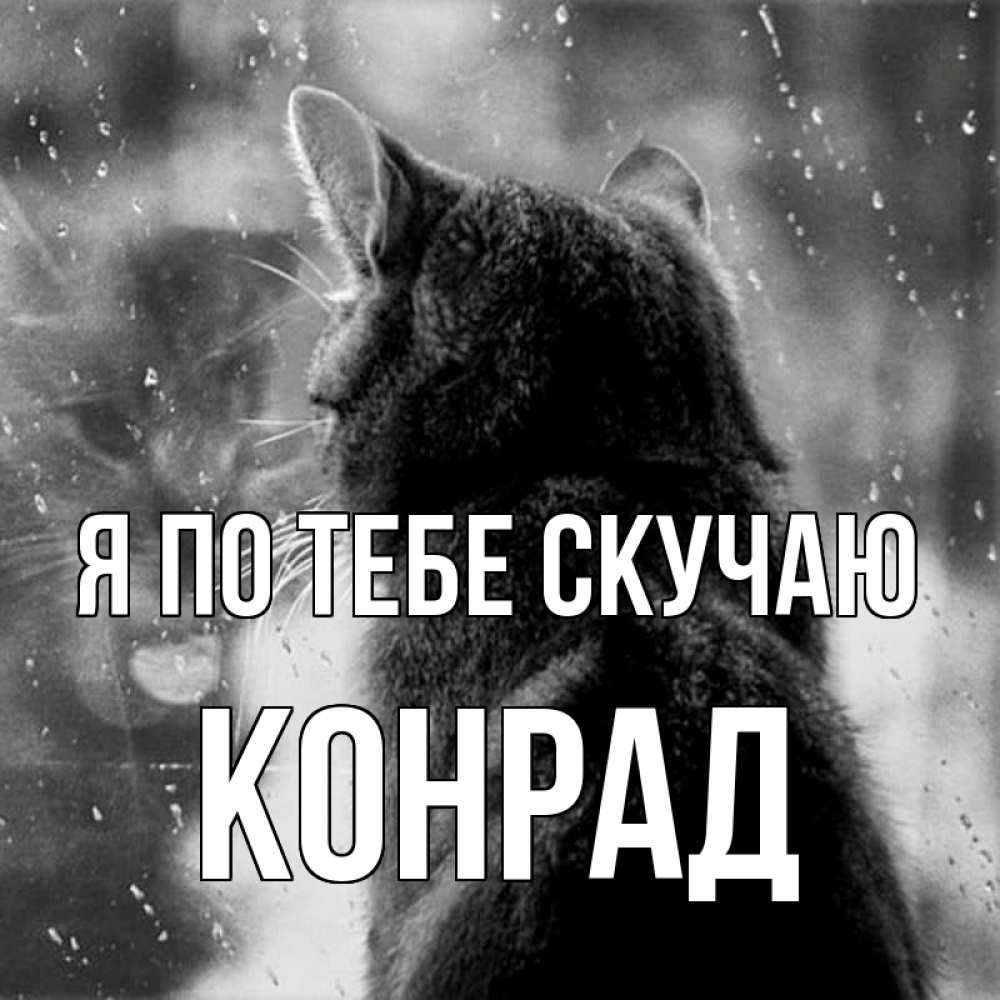 Открытка на каждый день с именем, Конрад Я по тебе скучаю скорее ко мне приходи 1 Прикольная открытка с пожеланием онлайн скачать бесплатно 