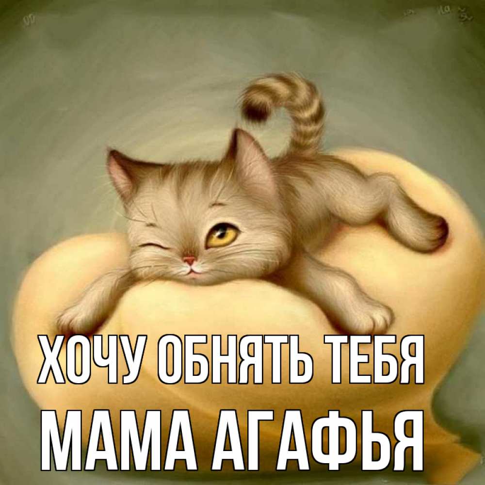 Открытка на каждый день с именем, Мама-Агафья Хочу обнять тебя кошечка Прикольная открытка с пожеланием онлайн скачать бесплатно 
