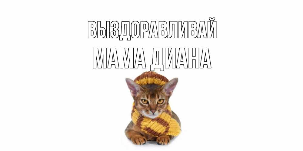 Открытка на каждый день с именем, Мама-Диана Выздоравливай родные не болейте Прикольная открытка с пожеланием онлайн скачать бесплатно 