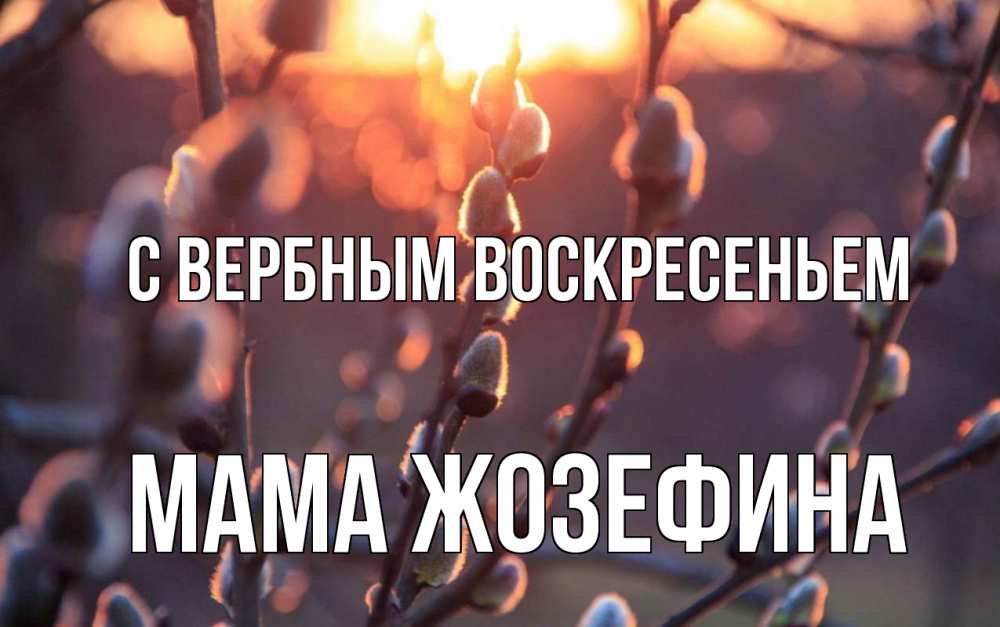 Открытка на каждый день с именем, Мама-Жозефина С вербным воскресеньем верба Прикольная открытка с пожеланием онлайн скачать бесплатно 