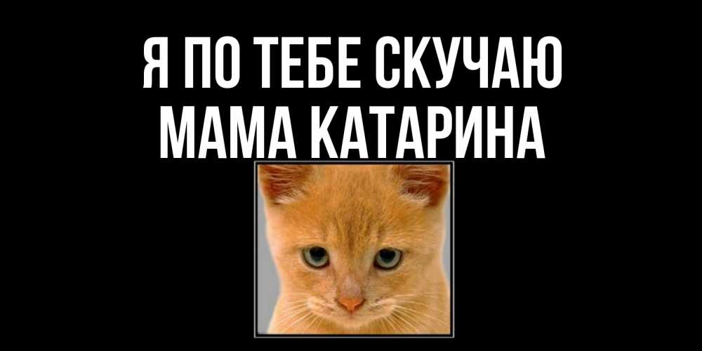 Открытка на каждый день с именем, Мама-Катарина Я по тебе скучаю открытки рыжий котенок скучает по тебе Прикольная открытка с пожеланием онлайн скачать бесплатно 
