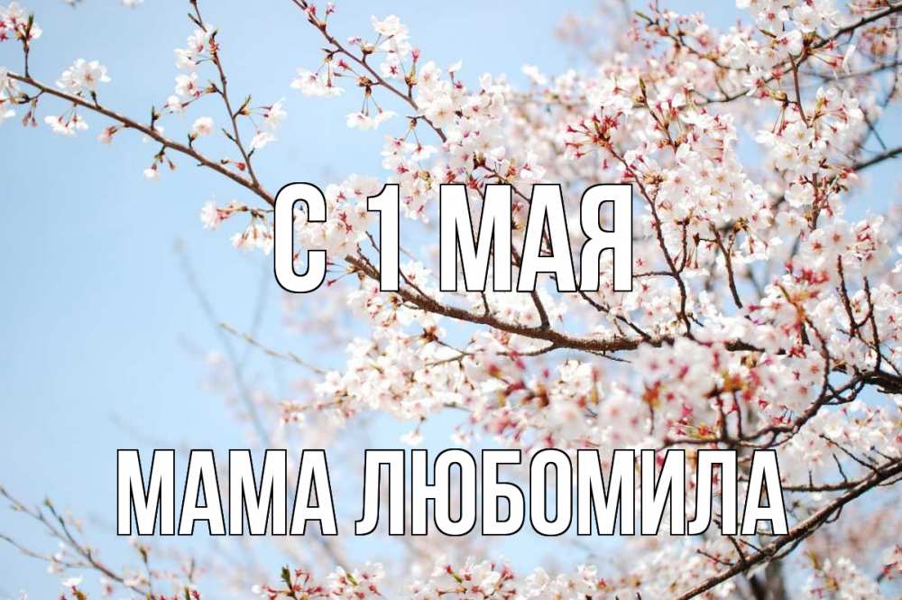 Открытка на каждый день с именем, Мама-Любомила С 1 мая С 1 мая Прикольная открытка с пожеланием онлайн скачать бесплатно 