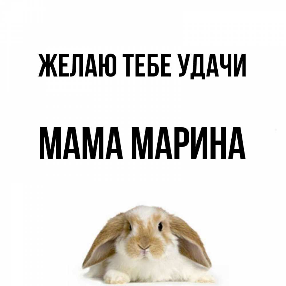 Открытка на каждый день с именем, Мама-Марина Желаю тебе удачи открытки с произвольным текстом который можно вставить в открытку и создать ее самостоятельно бесплатно онлайн Прикольная открытка с пожеланием онлайн скачать бесплатно 